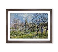 Big Box Art Orchard in Spring by Alfred Sisley Framed Wall Art Picture Print Ready to Hang, Walnut A2 (62 x 45 cm)