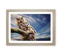 Big Box Art Owl on a Tree Branch Framed Wall Art Picture Print Ready to Hang, Oak A2 (62 x 45 cm)