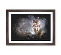 Big Box Art Owl Upon a Tree Branch Paint Splash Framed Wall Art Picture Print Ready to Hang, Walnut A2 (62 x 45 cm)