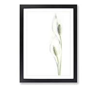 Big Box Art Pair of White Peace Lilies Framed Wall Art Picture Print Ready to Hang, Black A2 (62 x 45 cm)