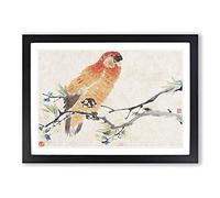 Big Box Art Parrot by Ren Yi Framed Wall Art Picture Print Ready to Hang, Black A2 (62 x 45 cm)