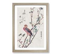 Big Box Art Parrot on a Plum Branch by Utagawa Hiroshige Framed Wall Art Picture Print Ready to Hang, Oak A2 (62 x 45 cm)