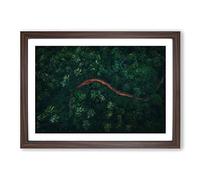 Big Box Art Path Through a Forest in Ko Samui Thailand Framed Wall Art Picture Print Ready to Hang, Walnut A2 (62 x 45 cm)
