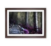Big Box Art Path Through a Forest in Vancouver Framed Wall Art Picture Print Ready to Hang, Walnut A2 (62 x 45 cm)
