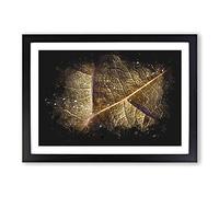 Big Box Art Paths of The Leaf Paint Splash Framed Wall Art Picture Print Ready to Hang, Black A2 (62 x 45 cm)