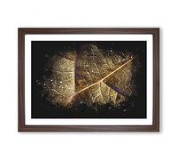 Big Box Art Paths of The Leaf Paint Splash Framed Wall Art Picture Print Ready to Hang, Walnut A2 (62 x 45 cm)