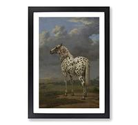 Big Box Art Paulus Potter The Piebald Horse Framed Wall Art Picture Print Ready to Hang, Black A2 (62 x 45 cm)