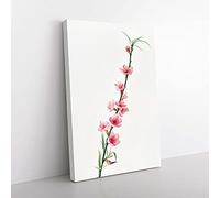 Big Box Art Peach Tree Blossoms by Giorgio Gallesio Canvas Wall Art Print Ready to Hang Picture, 76 x 50 cm (30 x 20 Inch), White, Pink, Grey
