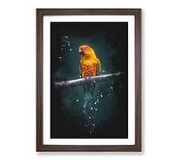Big Box Art Perched Parrot Paint Splash Framed Wall Art Picture Print Ready to Hang, Walnut A2 (62 x 45 cm)