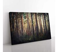Big Box Art Pine Tree Forest in Spring in Abstract Canvas Wall Art Print Ready to Hang Picture, 76 x 50 cm (30 x 20 Inch), Black, Brown, Olive, Green, Gold