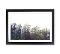 Big Box Art Pine Tree Forest in The Fog in Abstract Framed Wall Art Picture Print Ready to Hang, Black A2 (62 x 45 cm)