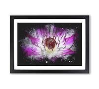 Big Box Art Pink Clematis Flower Paint Splash Framed Wall Art Picture Print Ready to Hang, Black A2 (62 x 45 cm)