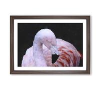 Big Box Art Pink Flamingo Vol.1 Painting Framed Wall Art Picture Print Ready to Hang, Walnut A2 (62 x 45 cm)