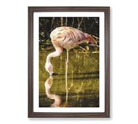 Big Box Art Pink Flamingo Vol.2 Painting Framed Wall Art Picture Print Ready to Hang, Walnut A2 (62 x 45 cm)