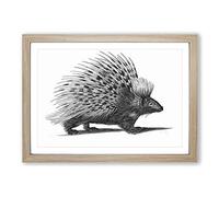 Big Box Art Porcupine in Black & White by George Shaw Framed Wall Art Picture Print Ready to Hang, Oak A2 (62 x 45 cm)