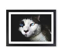 Big Box Art Portrait of A Cat Vol.10 Painting Framed Wall Art Picture Print Ready to Hang, Black A2 (62 x 45 cm)