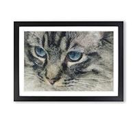 Big Box Art Portrait of A Cat Vol.14 Painting Framed Wall Art Picture Print Ready to Hang, Black A2 (62 x 45 cm)