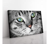 Big Box Art Portrait of A Cat Vol.2 Painting Canvas Wall Art Print Ready to Hang Picture, 76 x 50 cm (30 x 20 Inch), Grey, Grey, Black