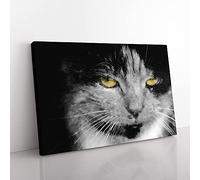 Big Box Art Portrait of A Cat Vol.4 Painting Canvas Wall Art Print Ready to Hang Picture, 76 x 50 cm (30 x 20 Inch), Black, Grey, Grey