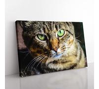 Big Box Art Portrait of A Cat Vol.6 Painting Canvas Wall Art Print Ready to Hang Picture, 76 x 50 cm (30 x 20 Inch), Black, Gold, Green
