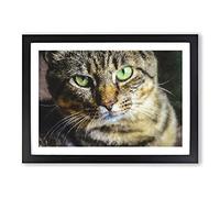 Big Box Art Portrait of A Cat Vol.6 Painting Framed Wall Art Picture Print Ready to Hang, Black A2 (62 x 45 cm)
