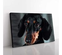 Big Box Art Portrait of a Dachshund Dog in Abstract Canvas Wall Art Print Ready to Hang Picture, 76 x 50 cm (30 x 20 Inch), Black, Grey, Brown