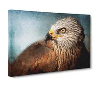 Big Box Art Portrait of a Red Kite Bird Canvas Wall Art Framed Picture Print, 30 x 20 Inch (76 x 50 cm), Blue, Brown, Blue, Teal, Brown