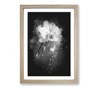 Big Box Art Pretty White Orchid Paint Splash Framed Wall Art Picture Print Ready to Hang, Oak A2 (62 x 45 cm)