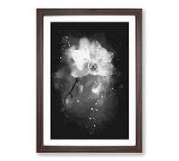 Big Box Art Pretty White Orchid Paint Splash Framed Wall Art Picture Print Ready to Hang, Walnut A2 (62 x 45 cm)