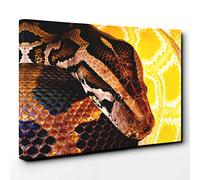 Big Box Art Python Snake 3 Canvas Wall Art Print Ready to Hang Picture, 30 x 20 Inch (76 x 50 cm), Multi-Coloured
