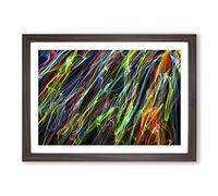 Big Box Art Rainbow Coloured Abstract Smoke and Flames (6) Framed Wall Art Picture Print Ready to Hang, Walnut A2 (62 x 45 cm)
