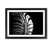 Big Box Art Rear of a Zebra Framed Wall Art Picture Print Ready to Hang, Black A2 (62 x 45 cm)