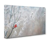 Big Box Art Red Cardinal Bird Canvas Wall Art Framed Picture Print, 30 x 20 Inch (76 x 50 cm), Grey
