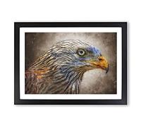 Big Box Art Red Kite Bird Painting Framed Wall Art Picture Print Ready to Hang, Black A2 (62 x 45 cm)