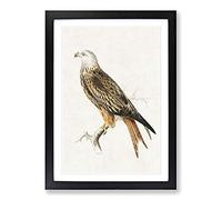 Big Box Art Red Kite by Von Wright Framed Wall Art Picture Print Ready to Hang, Black A2 (62 x 45 cm)