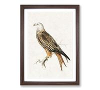 Big Box Art Red Kite by Von Wright Framed Wall Art Picture Print Ready to Hang, Walnut A2 (62 x 45 cm)