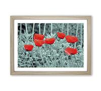 Big Box Art Red Poppy Field Flowers (6) Framed Wall Art Picture Print Ready to Hang, Oak A2 (62 x 45 cm)