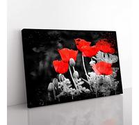 Big Box Art Red Poppy Field Flowers (7) Coal Black Canvas Wall Art Print Ready to Hang Picture, 76 x 50 cm (30 x 20 Inch), Multi-Coloured