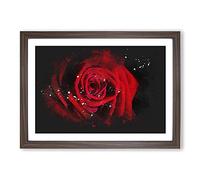 Big Box Art Red Rose Flower Vol.6 Paint Splash Framed Wall Art Picture Print Ready to Hang, Walnut A2 (62 x 45 cm)