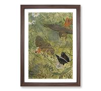 Big Box Art Redstart Birds and Butterflies by Bruno Liljefors Framed Wall Art Picture Print Ready to Hang, Walnut A2 (62 x 45 cm)