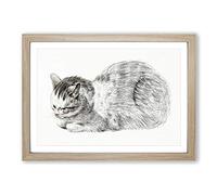 Big Box Art Restful Cat by Jean Bernard Framed Wall Art Picture Print Ready to Hang, Oak A2 (62 x 45 cm)