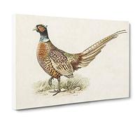 Big Box Art Ring-Necked Pheasant by Von Wright Canvas Wall Art Framed Picture Print, 30 x 20 Inch (76 x 50 cm), White, Gold, Green, Cream, Brown