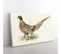 Big Box Art Ring-Necked Pheasant by Von Wright Canvas Wall Art Print Ready to Hang Picture, 76 x 50 cm (30 x 20 Inch), White, Gold, Green, Cream, Brown