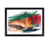 Big Box Art Robin Bird Blurred Background V2 Framed Wall Art Picture Print Ready to Hang, Black A2 (62 x 45 cm)