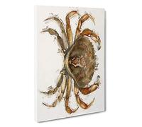 Big Box Art Rock Crab by J.E. De Kay Canvas Wall Art Framed Picture Print, 30 x 20 Inch (76 x 50 cm), White, Cream, Brown, Cream