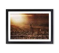 Big Box Art Roe Deer Landscape Framed Wall Art Picture Print Ready to Hang, Black A2 (62 x 45 cm)