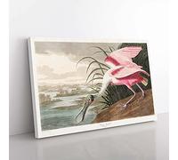 Big Box Art Roseate Spoonbill by John James Audubon Canvas Wall Art Print Ready to Hang Picture, 76 x 50 cm (30 x 20 Inch), White, Grey, Brown, Pink, Purple