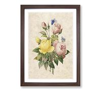 Big Box Art Roses & Butterflies by Pierre-Joseph Redoute Framed Wall Art Picture Print Ready to Hang, Walnut A2 (62 x 45 cm)