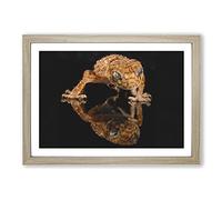 Big Box Art Rough Knob Gecko Lizard Painting Framed Wall Art Picture Print Ready to Hang, Oak A2 (62 x 45 cm)