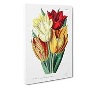 Big Box Art Rough-stemmed Tulips Canvas Wall Art Framed Picture Print, 30 x 20 Inch (76 x 50 cm), White, Yellow, Red, Green, Cream